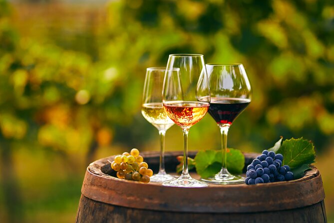 Private Tour From Montenegro: Trebinje & Tvrdos Monastery W/ Wine & Food Tasting - Directions