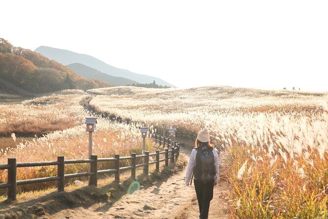 Private Tour From Nagoya: Akame 48 Falls & Soni Highlands Hike - Good To Know