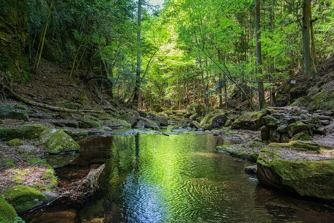 Private Tour From Nagoya: Akame 48 Falls & Soni Highlands Hike - FAQ