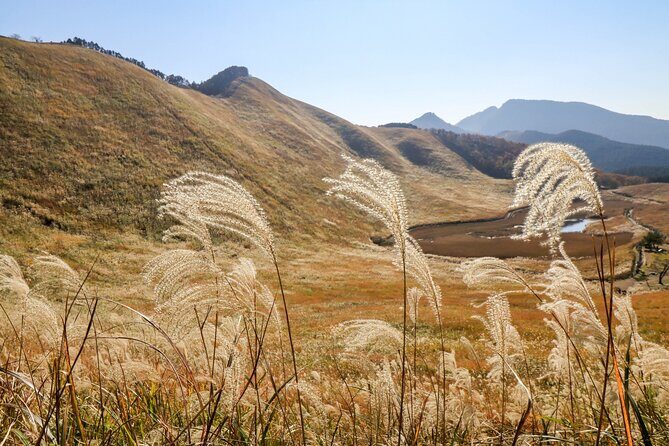 Private Tour From Nagoya: Akame 48 Falls & Soni Highlands Hike - FAQ