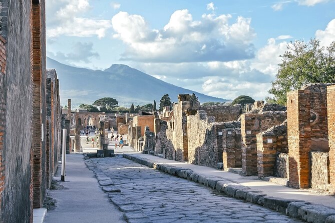 Private Tour From Naples to Pompei, Massa Lubrense and Back - Operator Contact Information