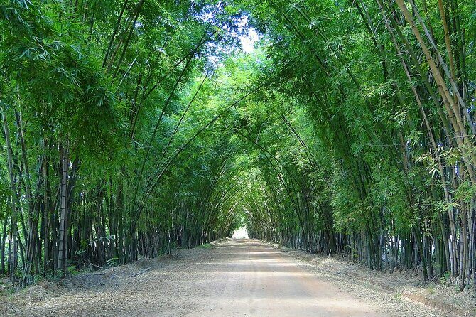 Private Tour from Negril to YS Falls and Pelican Bar - Who Is This Tour Best For?