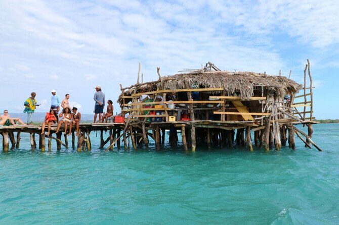 Private Tour from Negril to YS Falls and Pelican Bar - Final Thoughts