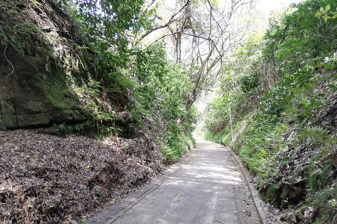 Private Tour From North Kamakura Temples & Shrine - Meeting and Pickup Details