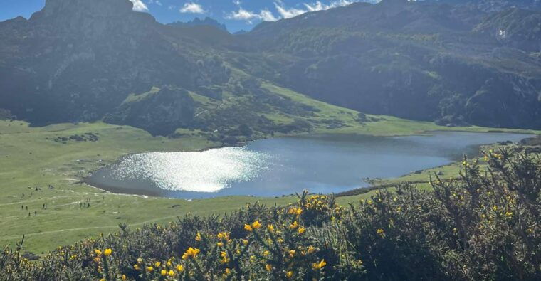 Private Tour From Oviedo to Covadonga and Europe Peaks Lakes - The Sum Up