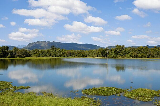 Private Tour from Polonnaruwa to Kandy with Wasgamuwa Safari - Kandy Arrival and City Highlights