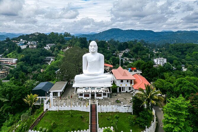 Private Tour from Polonnaruwa to Kandy with Wasgamuwa Safari - Practical Tips for Your Day