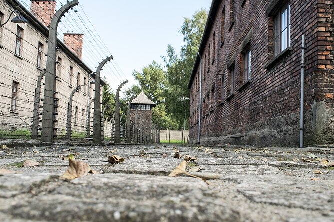 Private Tour From Prague to Terezin, Konigstein and Dresden - Booking Flexibility