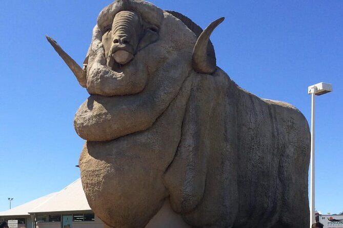 Private Tour from Sydney to Canberra - Good To Know