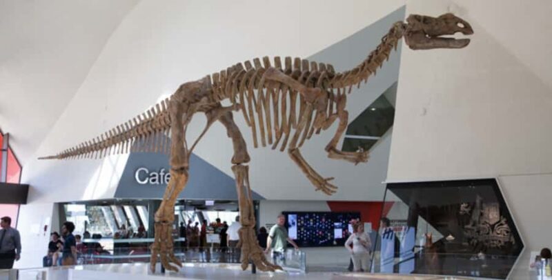 Private Tour: From Sydney to Canberra Full Day Tour - Good To Know