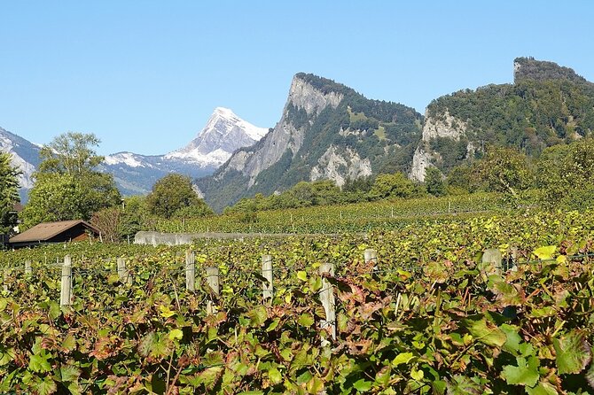 Private Tour From Zurich to Heidiland and Liechtenstein - Common Questions