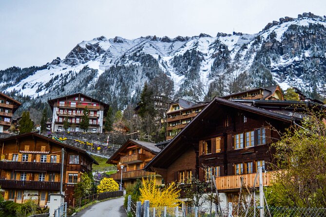 Private Tour From Zurich to Interlaken and Lauterbrunnen Valley - Pricing