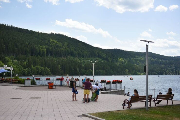 Private Tour From Zurich to Rhine Falls and Black Forest - Cancellation and Reservation Details