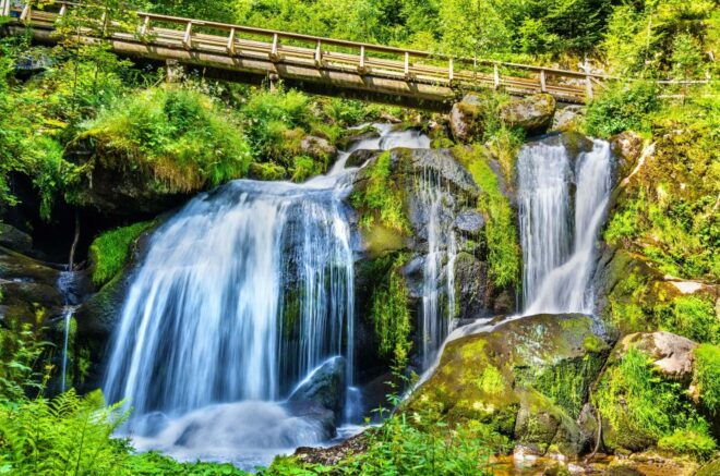 Private Tour From Zurich to Rhine Falls and Black Forest - Exploring Laufen Castle and Boat Trip Option