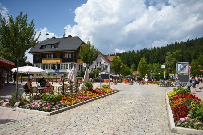 Private Tour From Zurich to Rhine Falls and Black Forest - Serene Shores of Lake Titisee