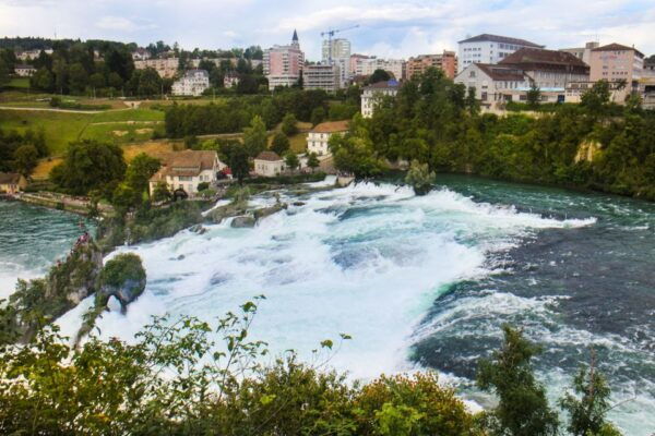 Private Tour From Zurich to Rhine Falls and Black Forest - Day Trip and Guided Tour Options