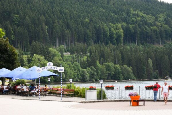 Private Tour From Zurich to Rhine Falls and Black Forest - Common Questions