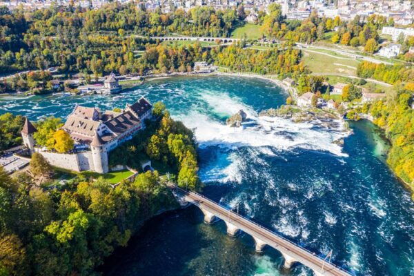 Private Tour From Zurich to Rhine Falls and Black Forest - The Sum Up