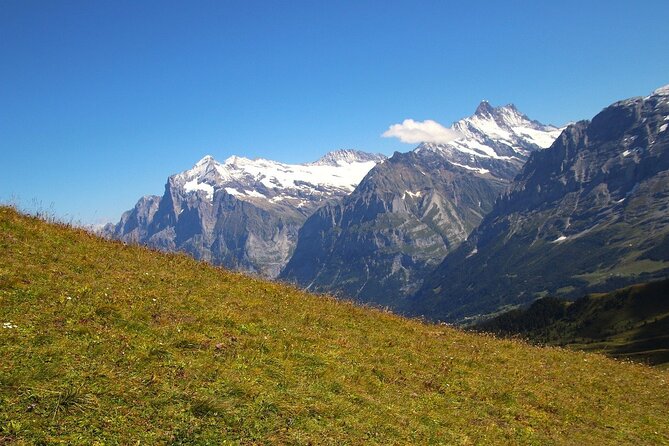 Private Tour From Zurich to Top of Europe Jungfraujoch & Bern - Private Tour Benefits