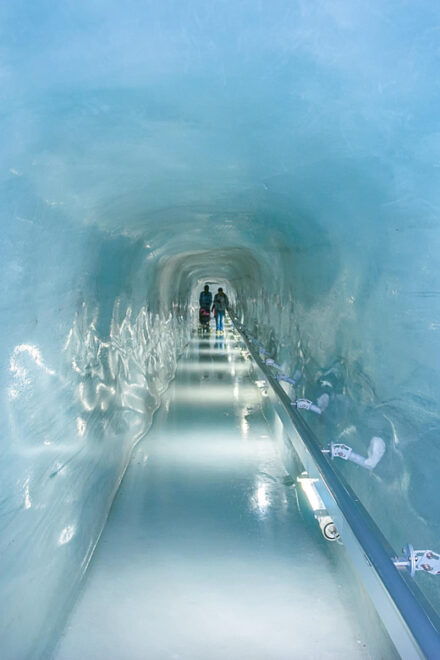 Private Tour From Zurich to Top of Europe Jungfraujoch - Driver and Vehicle Information