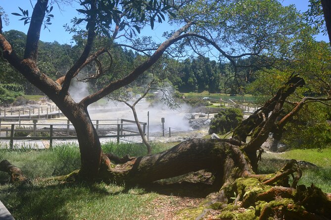 Private Tour Full-Day Furnas: Lake, Fumaroles and Thermal Pools - Visit to Volcanic Calderas
