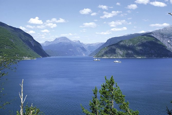 Private Tour: Full-Day Round Trip To Hardangerfjord From Bergen - Common Questions