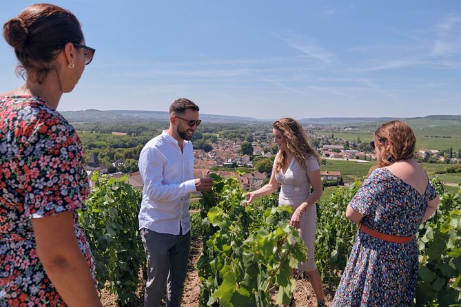 Private Tour: Full Day Veuve Clicquot to Reims or Epernay Region - Tour Highlights