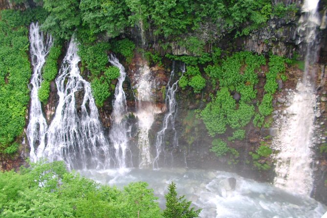 Private Tour: Full-Day Walking Tour With Professional Local Guide in Yakushima Island - Tour Overview