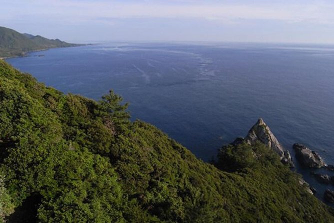 Private Tour: Full-Day Walking Tour With Professional Local Guide in Yakushima Island - Itinerary and Activities