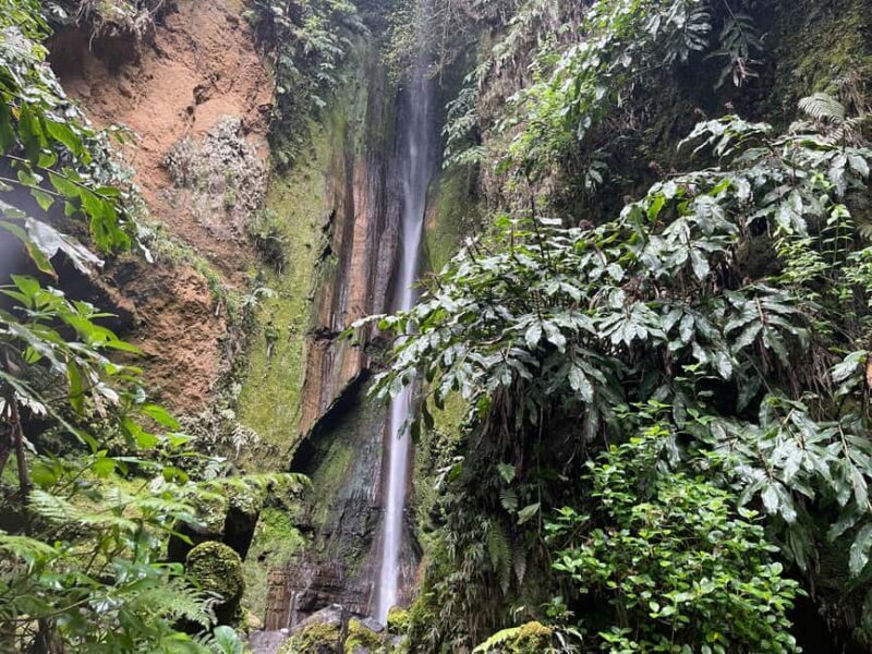 Private Tour Furnas: Furnas Lake Hike & Terra Nostra Park - A Closer Look at the Itinerary