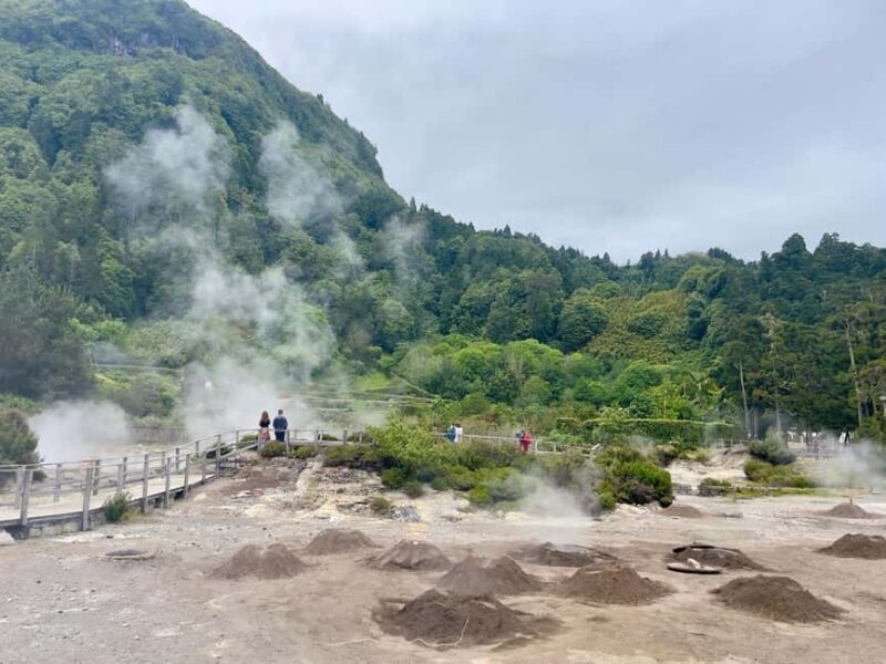 Private Tour Furnas: Furnas Lake Hike & Terra Nostra Park - What Travelers Say