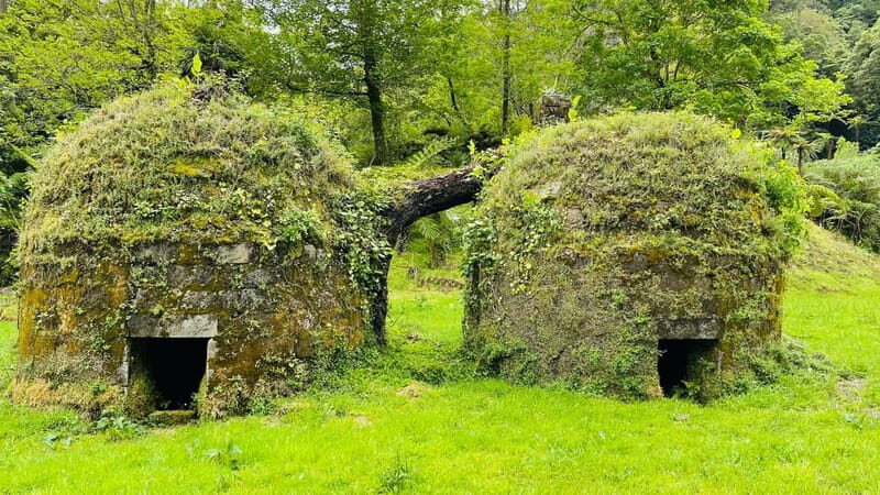 Private Tour Furnas: Furnas Lake Hike & Terra Nostra Park - Who Is This Tour Best For?
