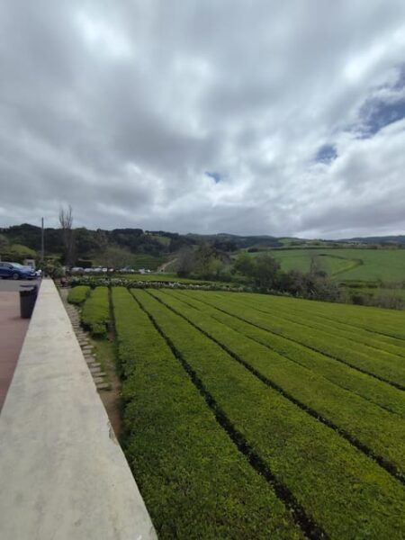 Private Tour Furnas - Accessibility