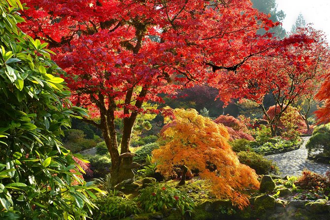 Private Tour: Gardens of Vancouver - The Sum Up