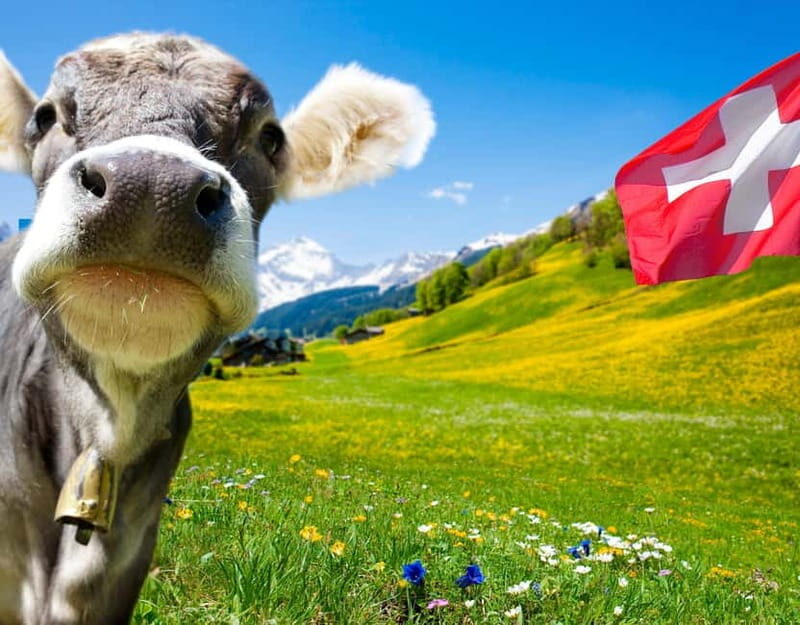 Private tour Geneva-Gruyère's: chocolate and cheese factory - Exploring Swiss Delights: A Private Tour to Geneva-Gruyères’s Chocolate and Cheese Factories