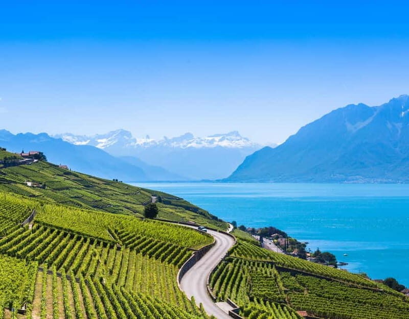 Private tour Geneva-Gruyère's: chocolate and cheese factory - The Sum Up