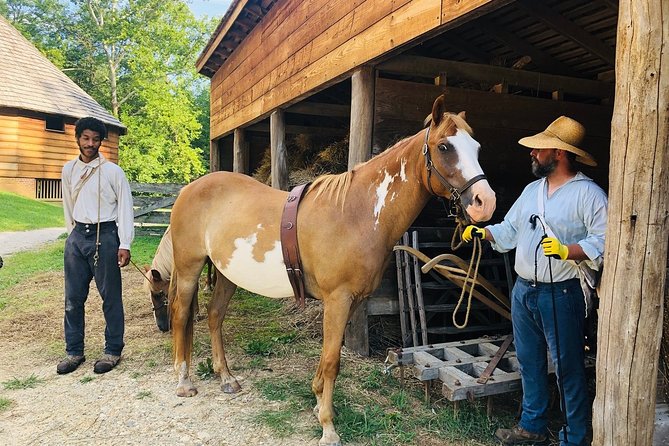 Private Tour: George Washingtons Mount Vernon - Positive Reviews About the Guide
