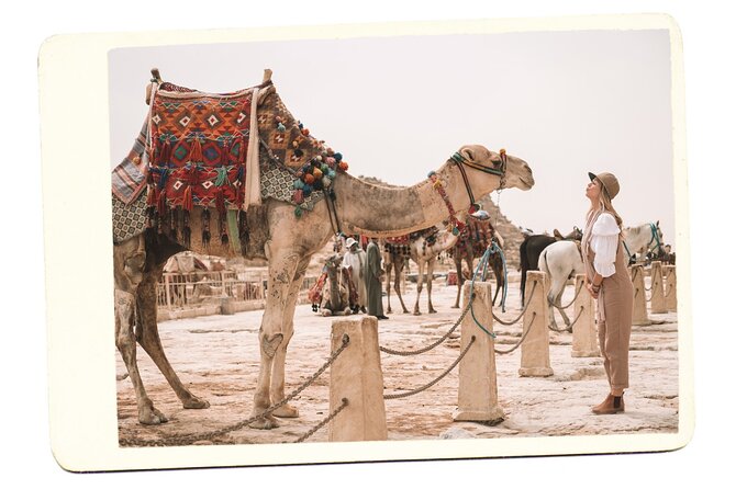 Private Tour Giza Pyramids Inside, Sphinx, Memphis & Saqqara - Traveler Photos