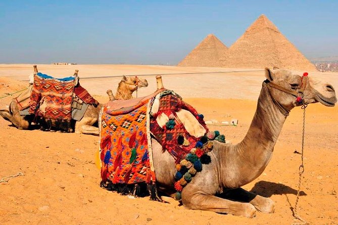 Private Tour Giza Pyramids Inside, Sphinx, Memphis & Saqqara - Highlight of Our Trip