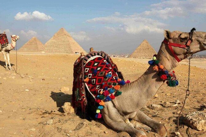 Private Tour: Giza Pyramids, Sphinx, Memphis, Sakkara - Common Questions