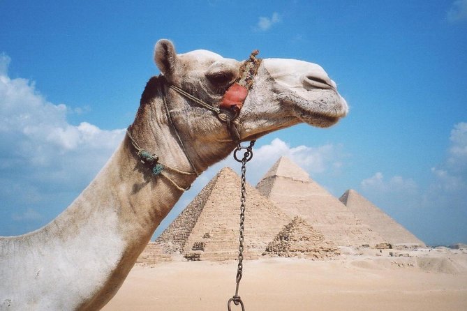 Private Tour: Giza Pyramids, Sphinx, Memphis, Sakkara - What to Expect
