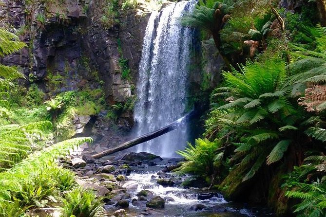 Private Tour - Great Ocean Road Express Tour - 9 Hour Duration - Copyright and Terms