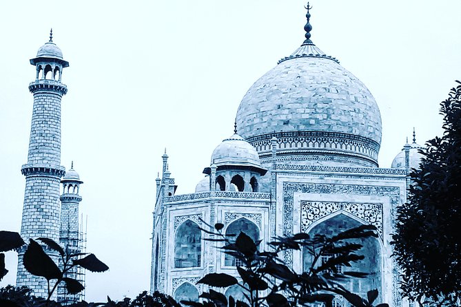 Private Tour Guide for Taj Mahal & Agra Fort - Pricing Details