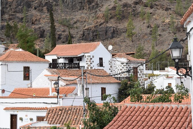 Private Tour Guide in Gran Canaria - Customer Reviews and Testimonials