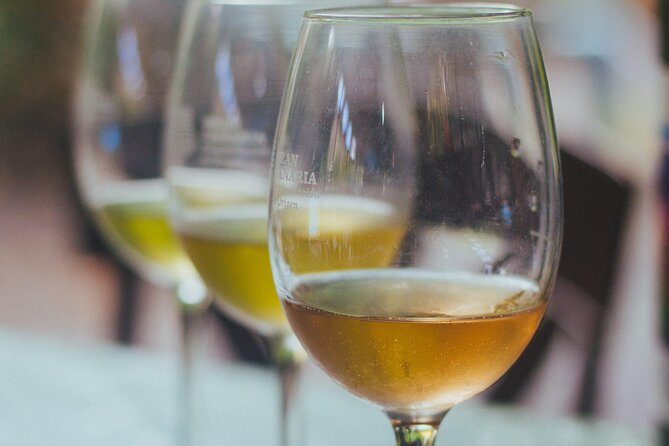 Private Tour Guide in Gran Canaria - Frequently Asked Questions