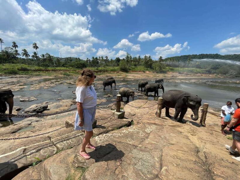 private tour guide in Sri lanka : 5 Days Tour Package - Good To Know