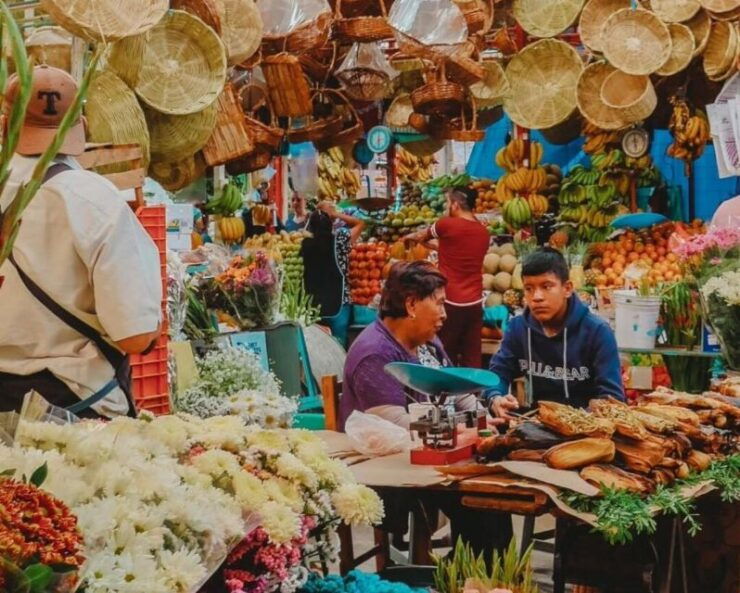 Private Tour Guide Mexico City: Personalize Your Experience - Booking Details