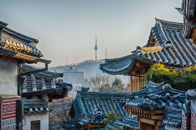 Private Tour Guide Service in Seoul, Korea - Inclusions and Services Provided