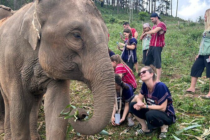 Private Tour Guide with Private Car - Good To Know