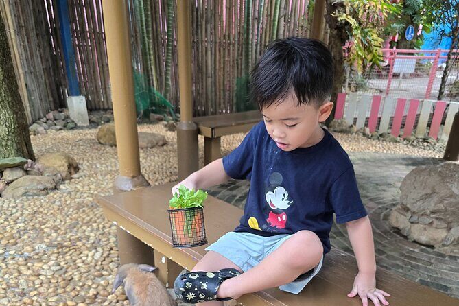 Private Tour Guide with Private Car - Practical Details and Logistics